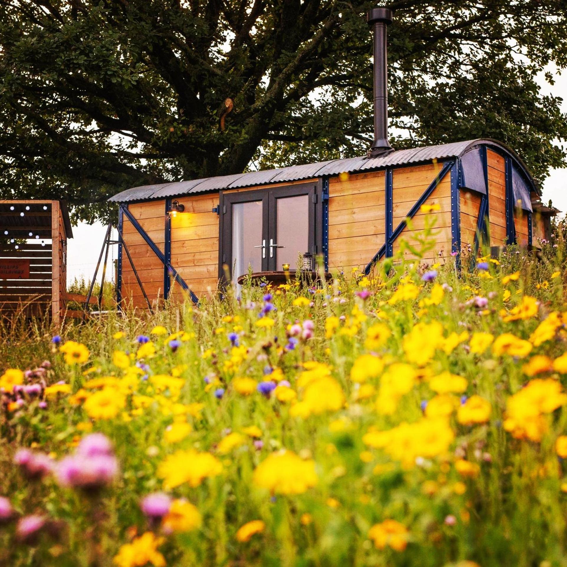 Under The Oak Glamping Otel Caerphilly Dış mekan fotoğraf